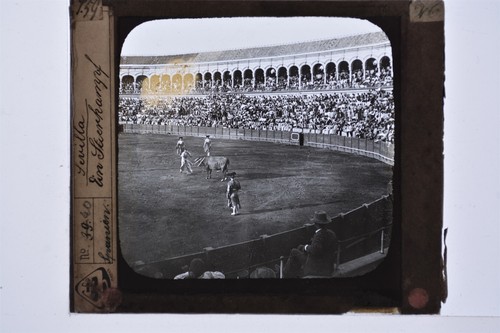 Seville bullfight bullring - seville,
